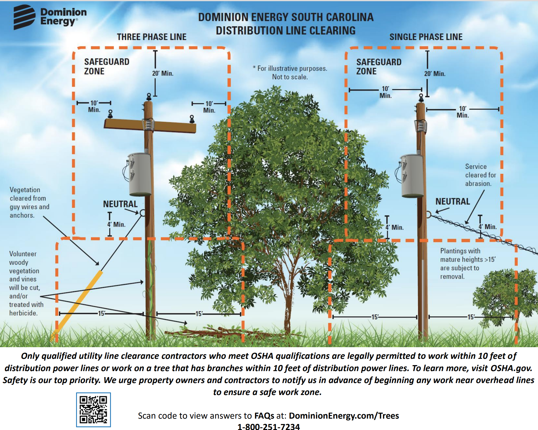 Dominion Tree Pruning Underway.