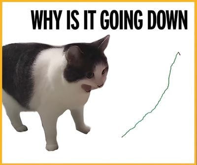 hold or sell kitty