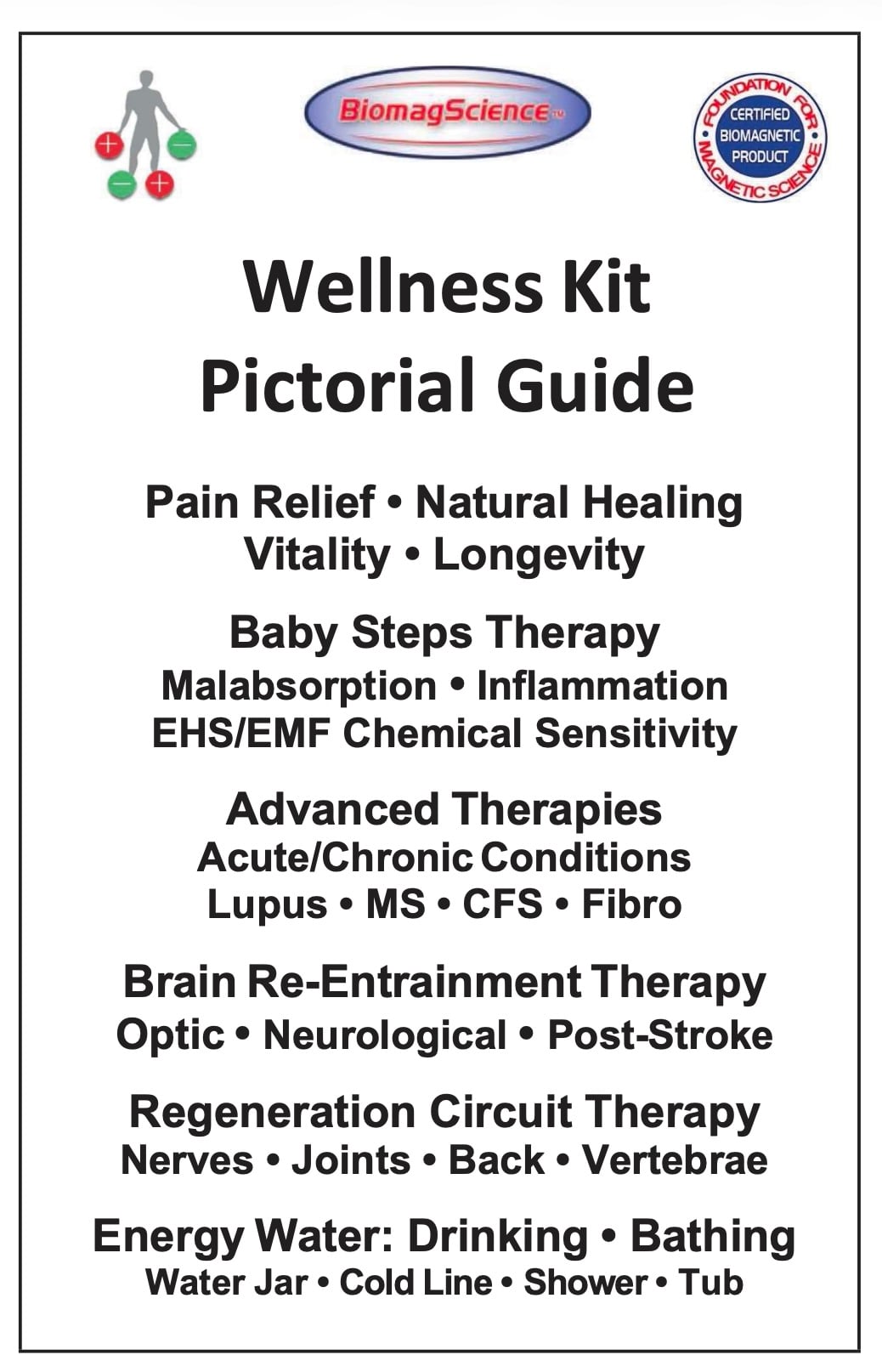 Biomag pictoral guide to wellness with magnet therapy - by Peter Kullish