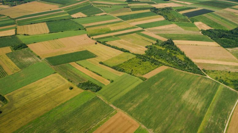 Invest Like A Farmer: A Simple Philosophy For Long-Term Wealth