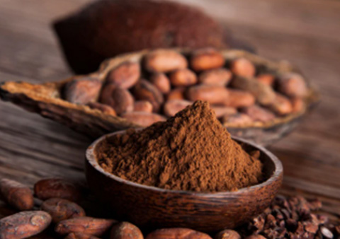 cocoa powder poudre de cacao