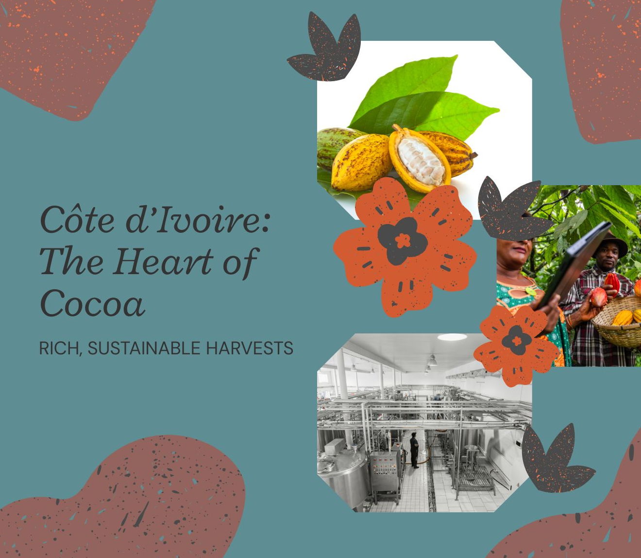 From Bean to Bliss: The Art of Chocolate in Côte d’Ivoire