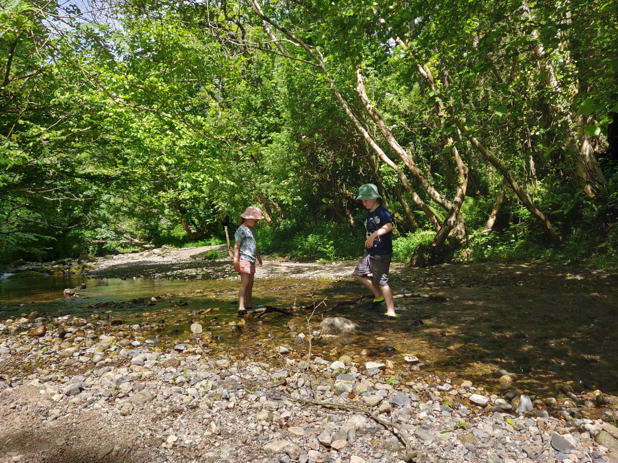 Protecting Knocksink Wood: A Community Meeting in Enniskerry