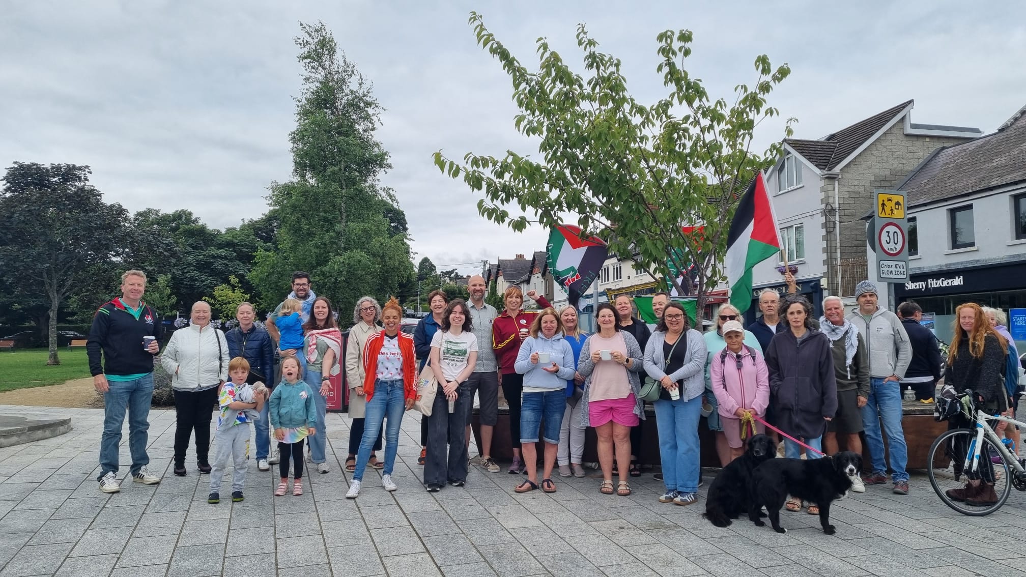 Stand in Peaceful Solidarity for Palestine — Join Us in Greystones