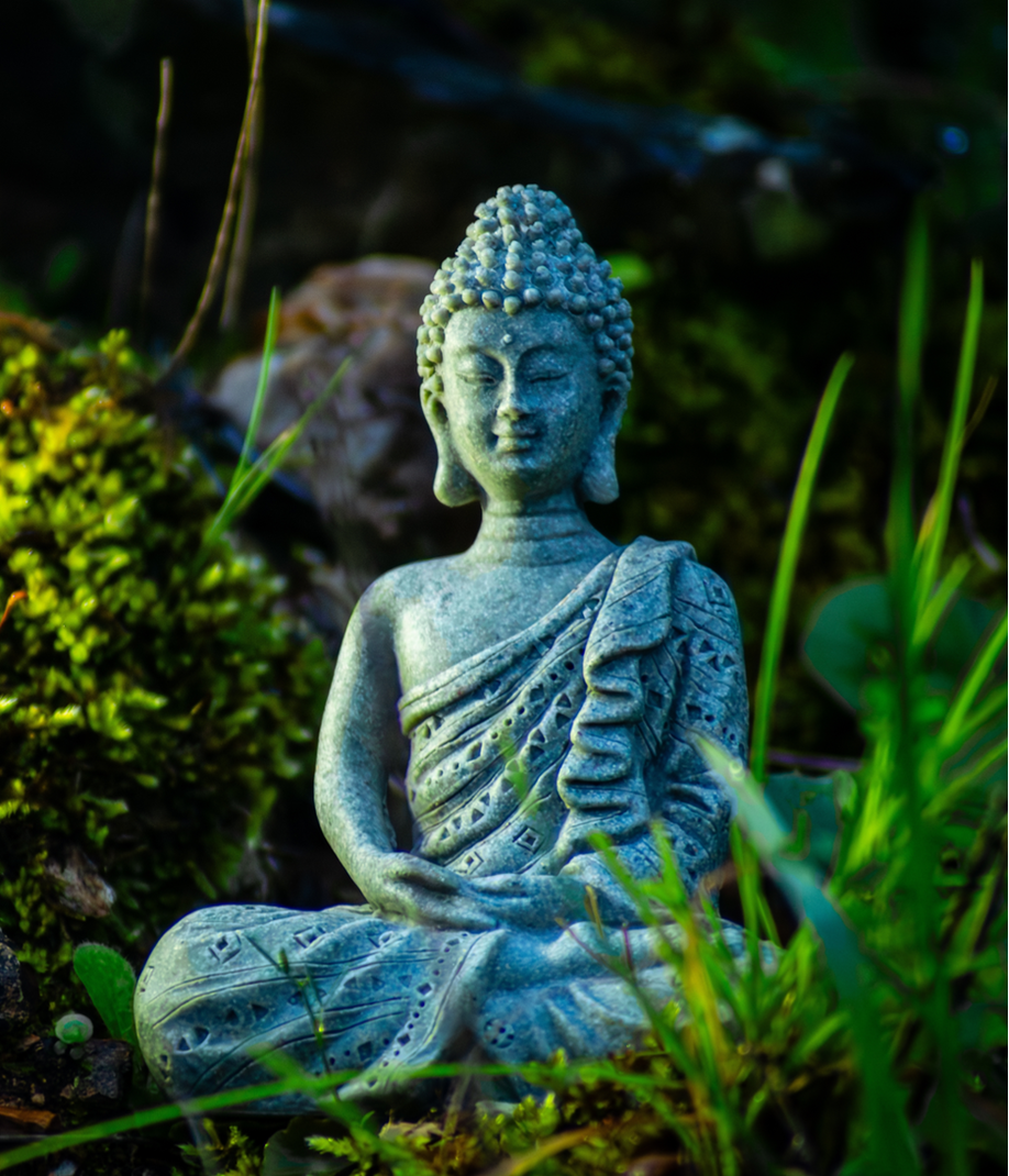 Stone buddha in the grass.