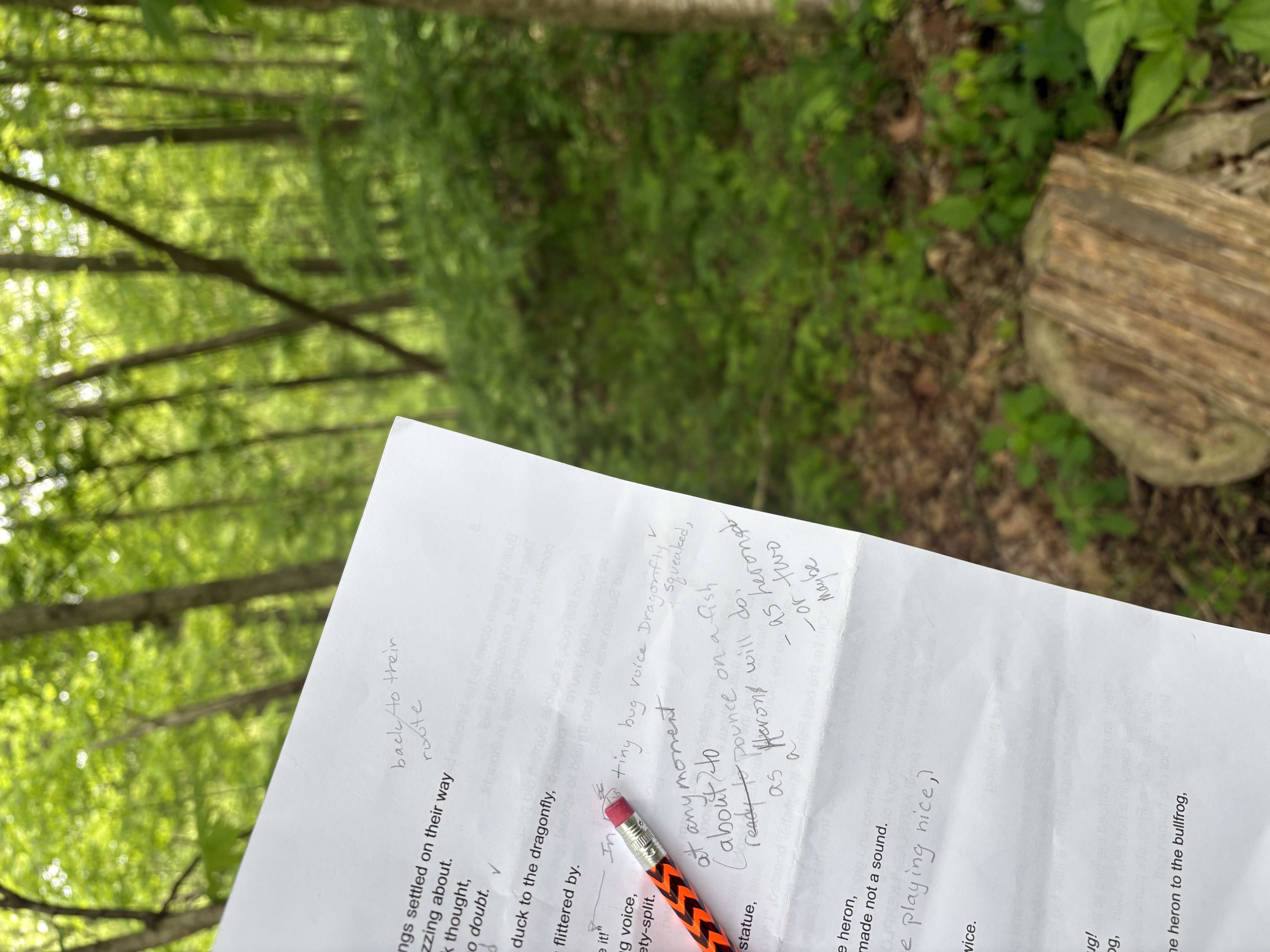 Writing Obsession