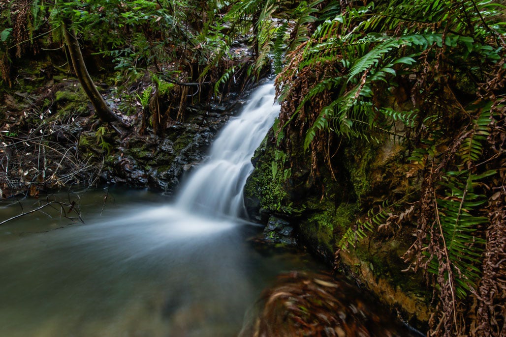 Crystal clear waterfall cascading over mossy rocks in a park in San Mateo County during winter.