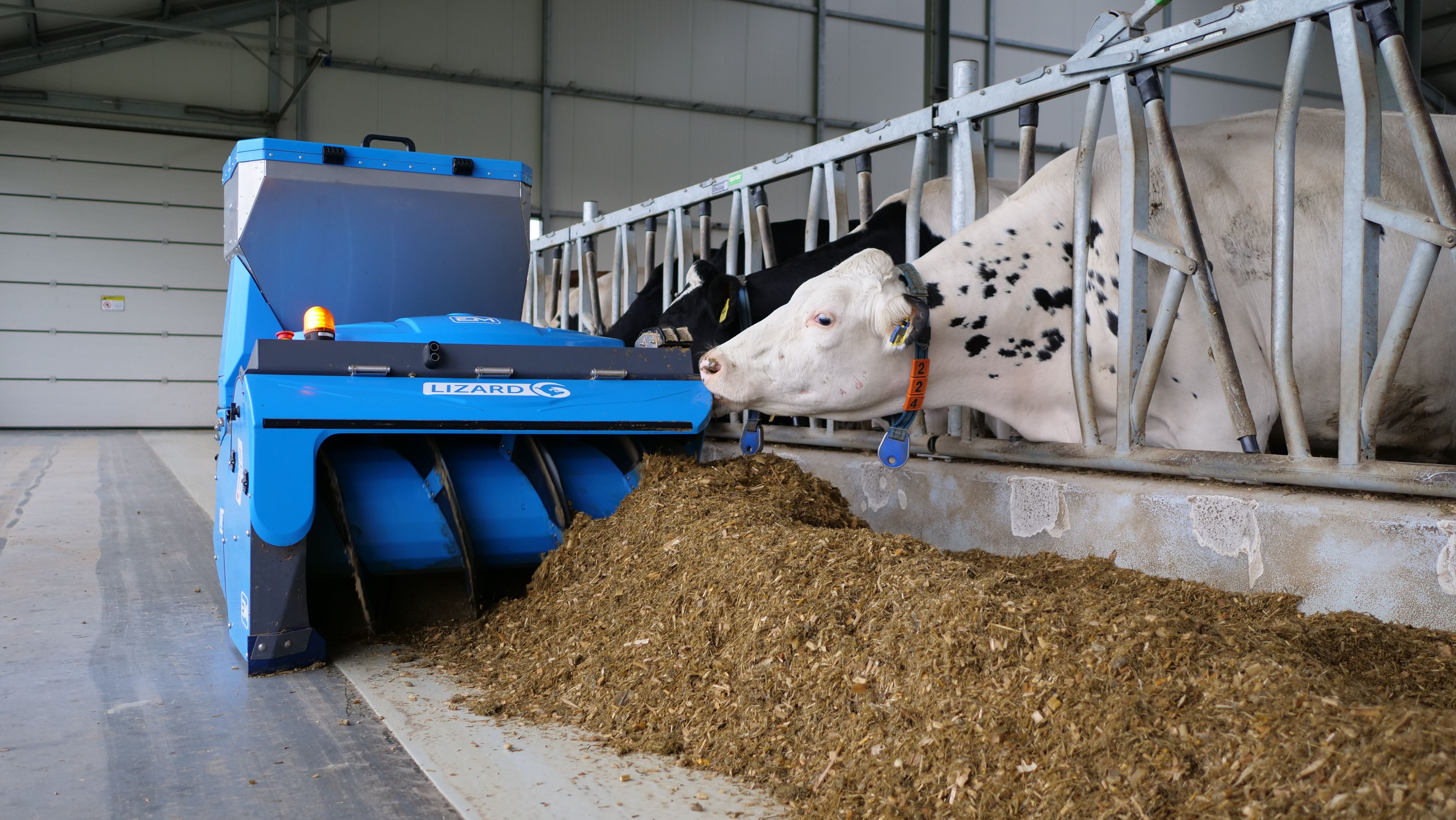 EM LIZARD pracujący przy stole paszowym