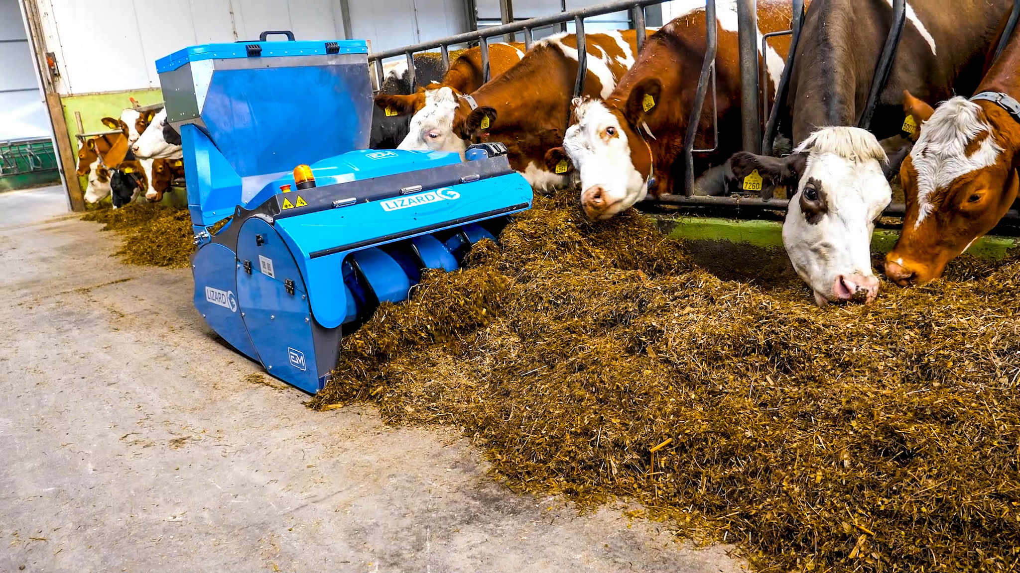 Robot EM LIZARD w oborze