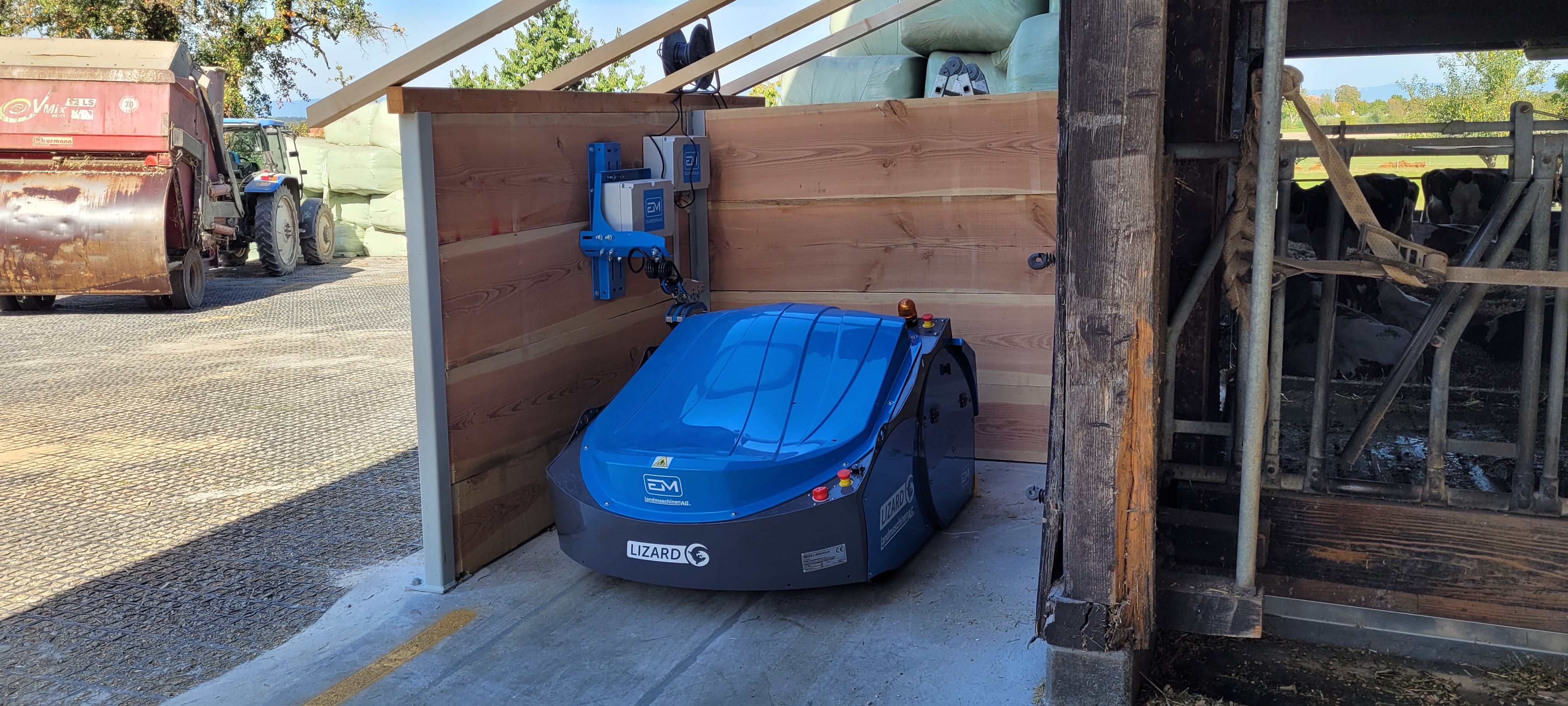 EM LIZARD przy krowach i stole paszowym