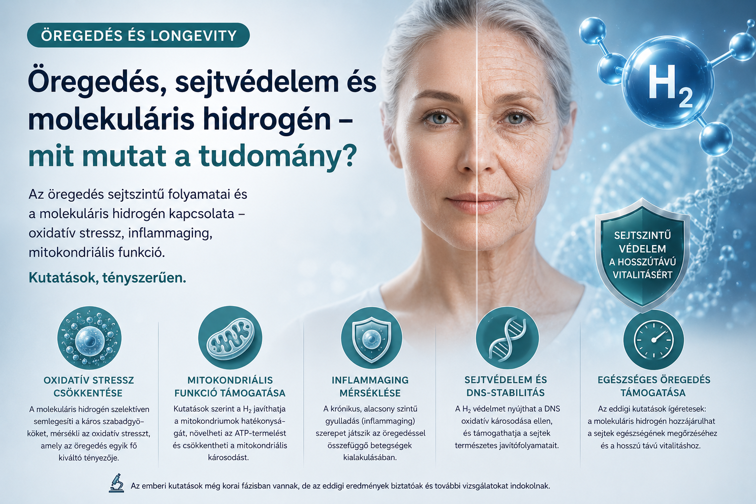 Öregedés, sejtvédelem és molekuláris hidrogén