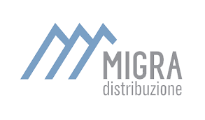 Linguistic Efficiency in Global Supply Chains