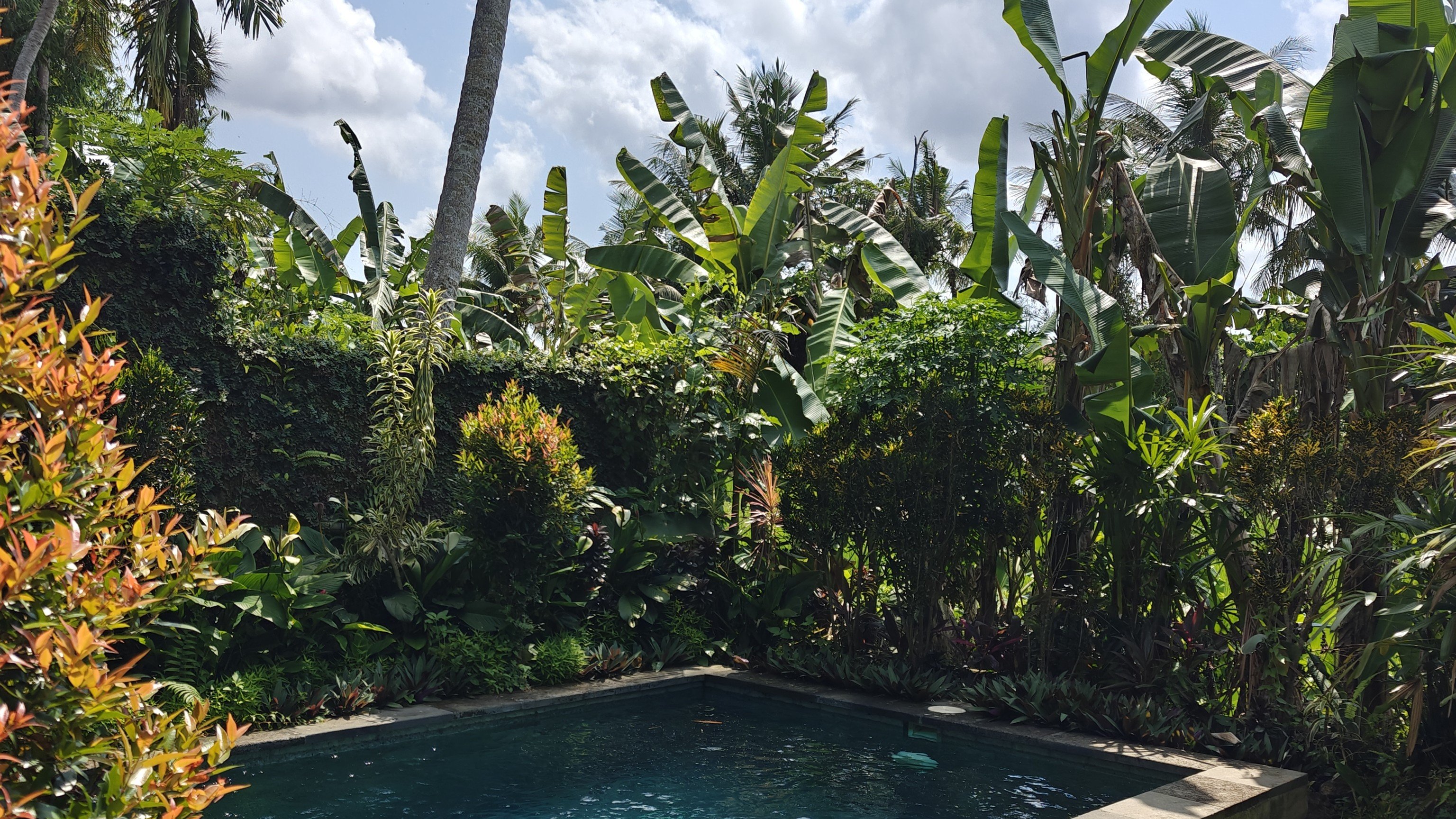 The One Thing I Left Behind in Bali… And Why You Should Too