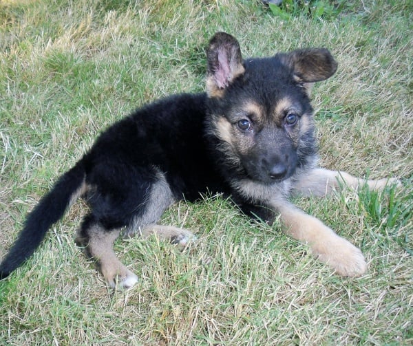 What's love got to do with it? Everything!