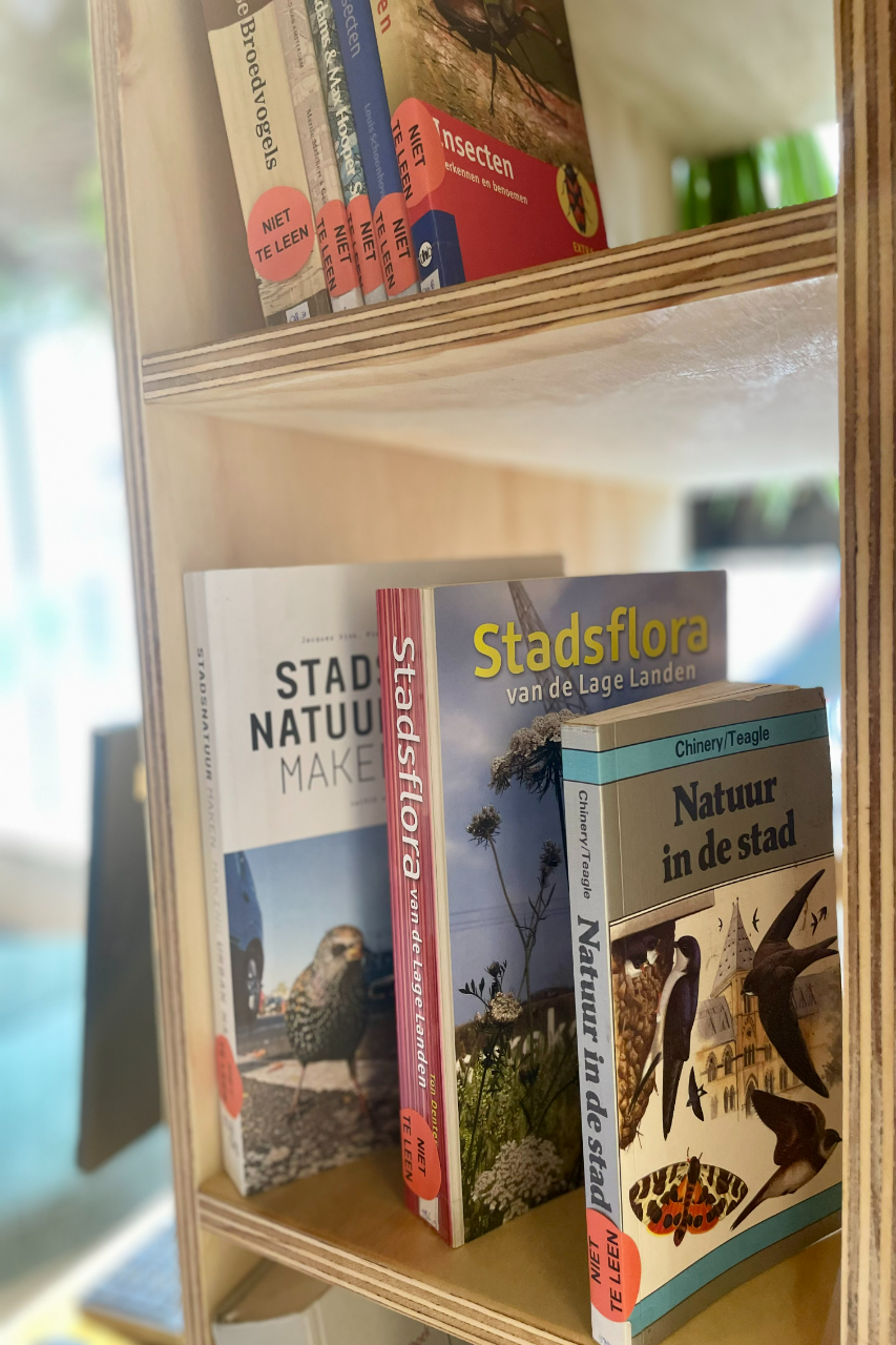boekenkast in de bibliotheek