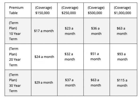 Term life insurance premium chart for rates for a 20 year old male with physical exam.