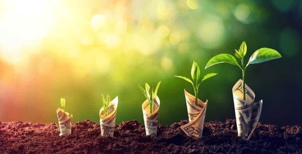 Asset management company investing money grows out of the ground like a plant with sunlight.