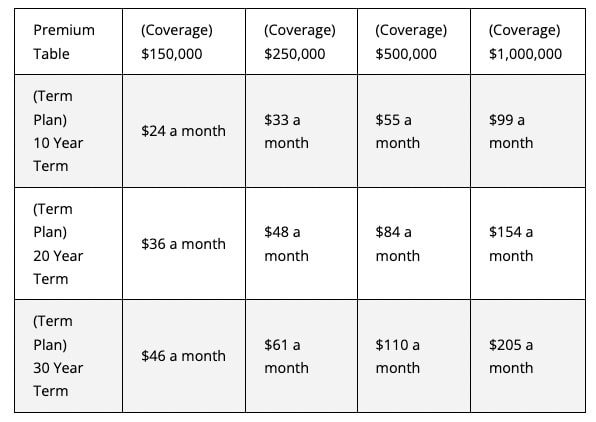 Term life insurance premium chart for rates for a 40 year old male with physical exam.