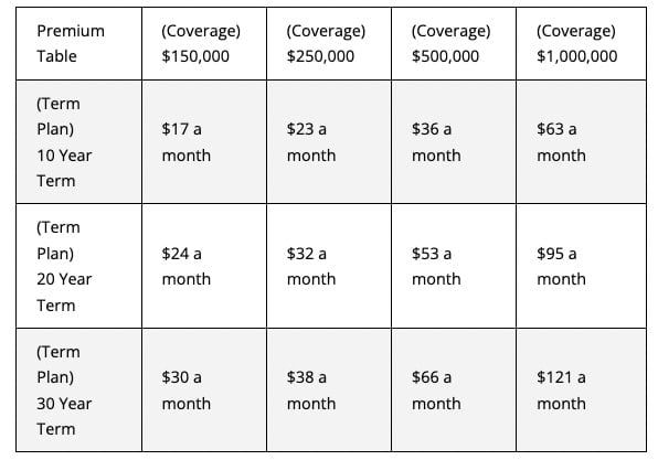 Term life insurance premium chart for rates for a 30 year old male with physical exam.