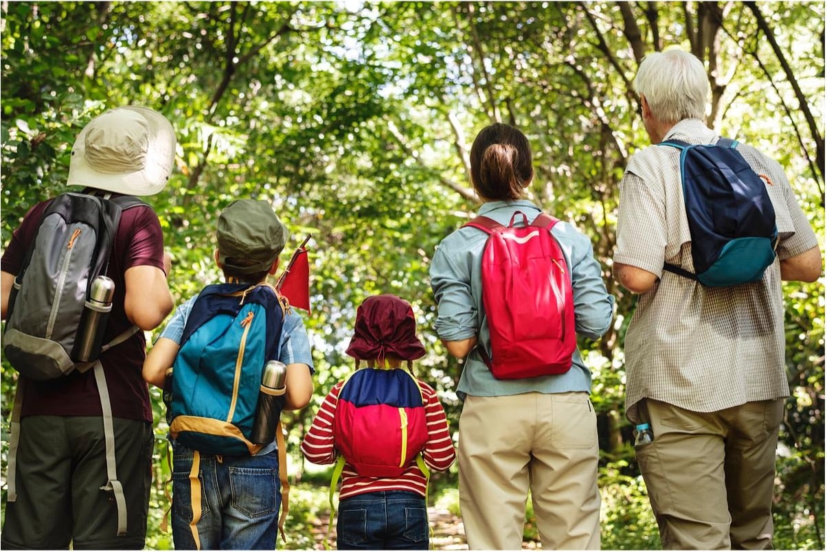 A multi-generational family in a forest, wearing sporty backbacks. They are photographed from behind, staring up at the tree canopy and celebrating the fact that none of them are sitting at home writing a 5-page narrative CV.
