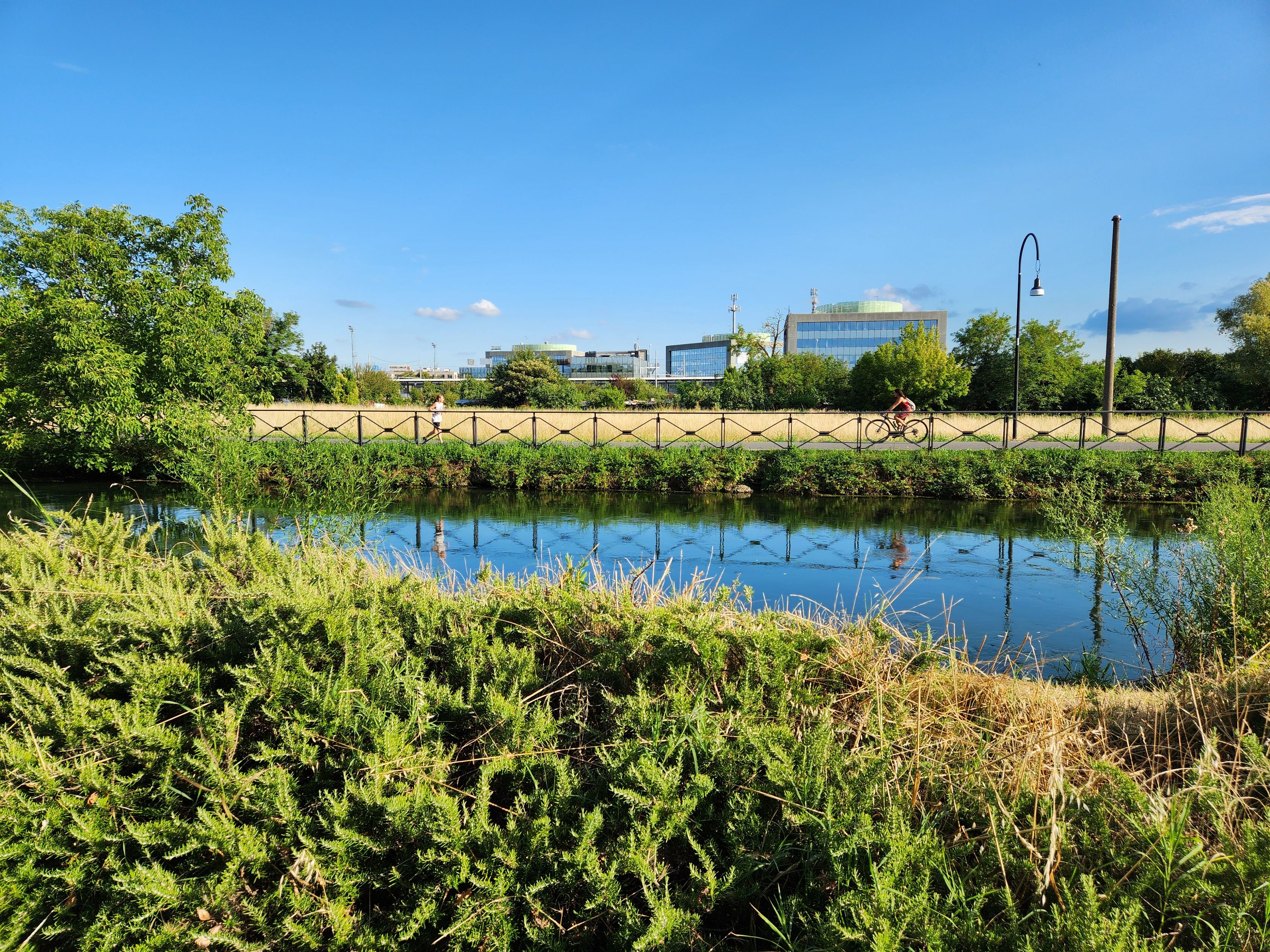 The Five Principles of Urban Wilding