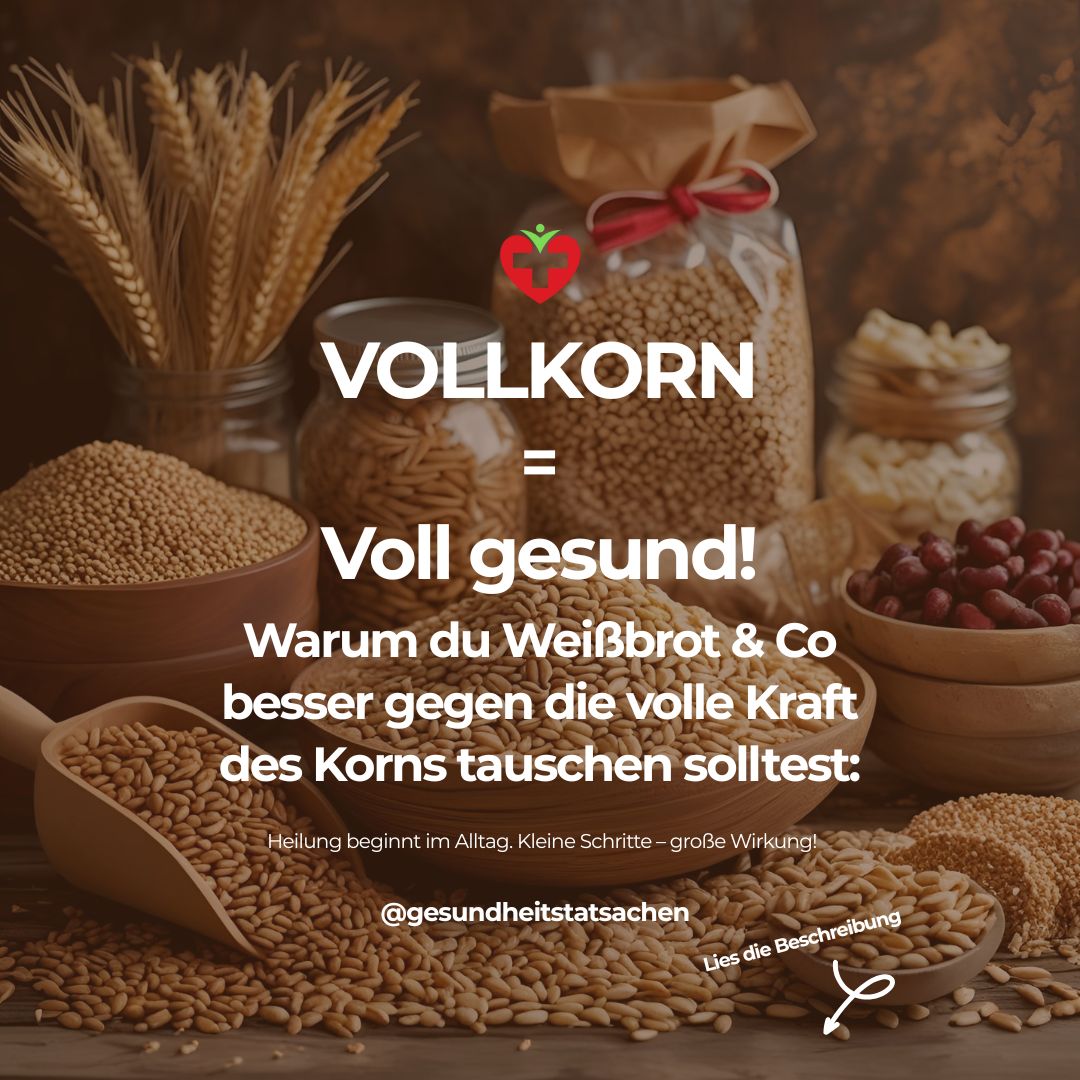 Vollkornpower: 🌾🚀 Dein Ticket zu mehr Gesundheit & Energie – Die Wissenschaft macht es klar!