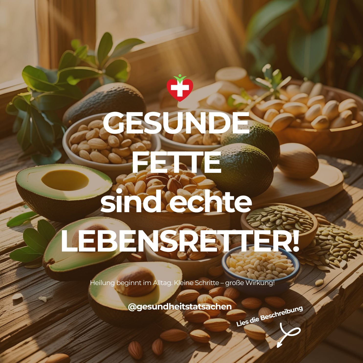 Gesunde Fette: 🥑✨ Dein Gehirn-Booster & Herzschützer – Die Wissenschaft enthüllt ihre Power!