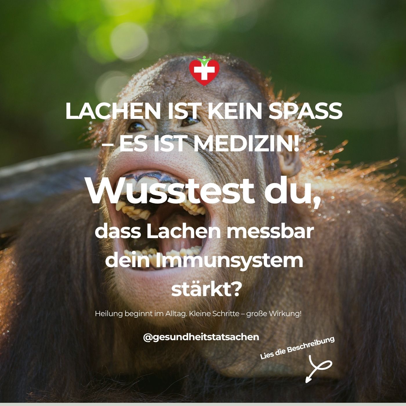 Lachen ist Medizin! 😄 Dein täglicher Immun-Booster – Die unglaubliche Kraft eines Lächelns!
