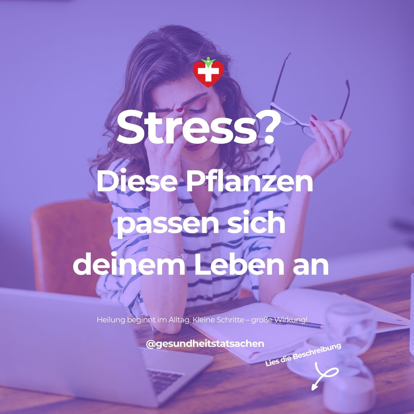 🌿 Pflanzen gegen Stress: Wie Adaptogene dein Nervensystem natürlich ins Gleichgewicht bringen