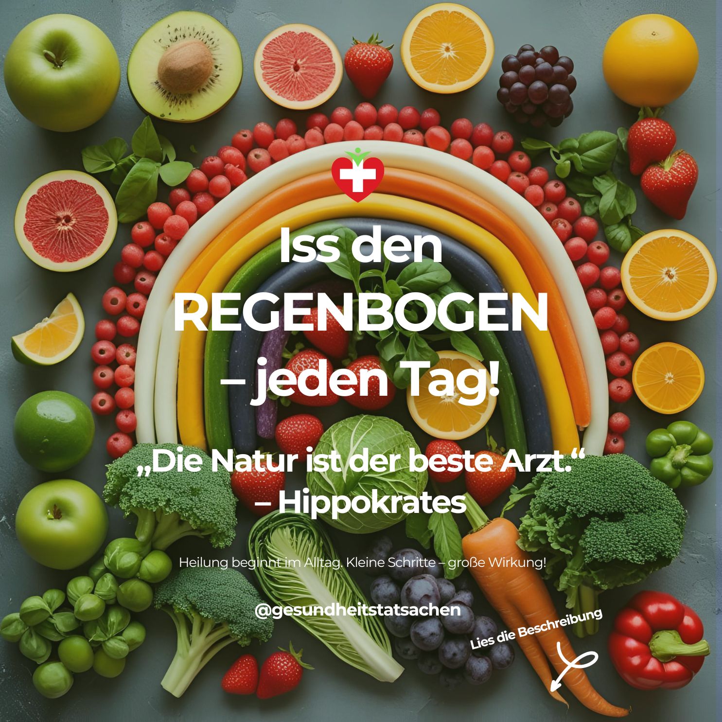 Obst & Gemüse: 🌈🍎 Dein bunter Schutzschild für die Gesundheit – Die Wissenschaft macht’s klar!