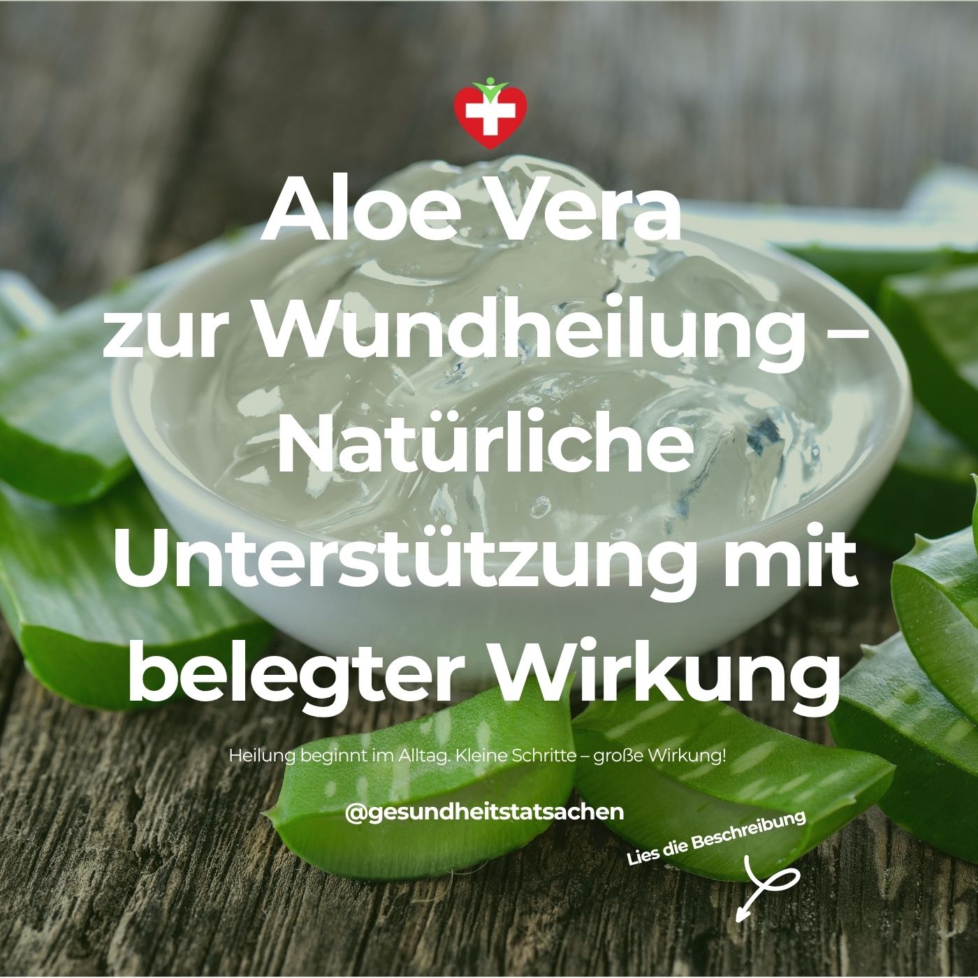 💚 Aloe Vera zur Wundheilung – Natürliche Unterstützung mit belegter Wirkung