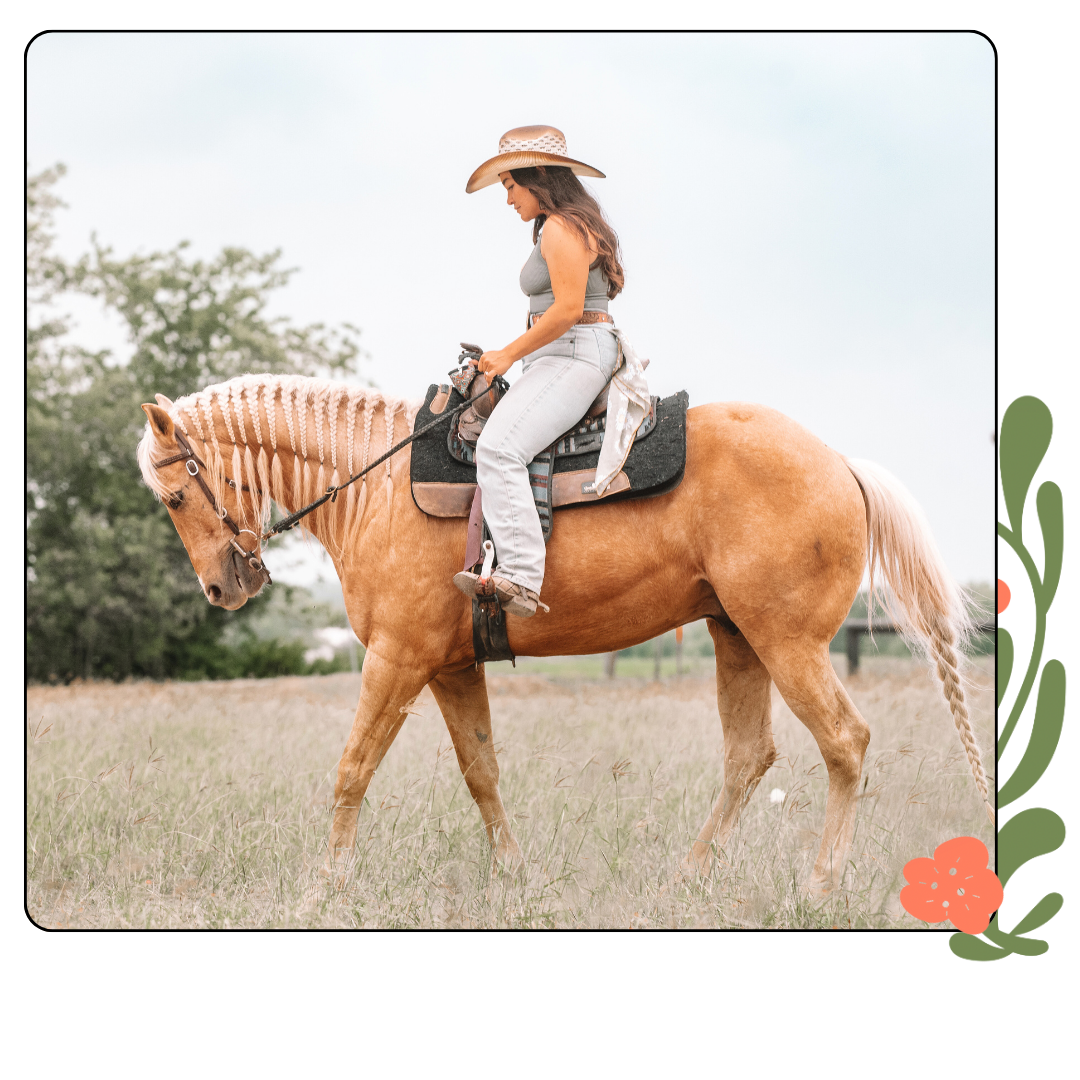 thc equine groundwork