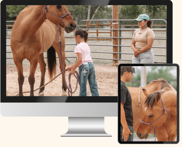 thc equine online membership