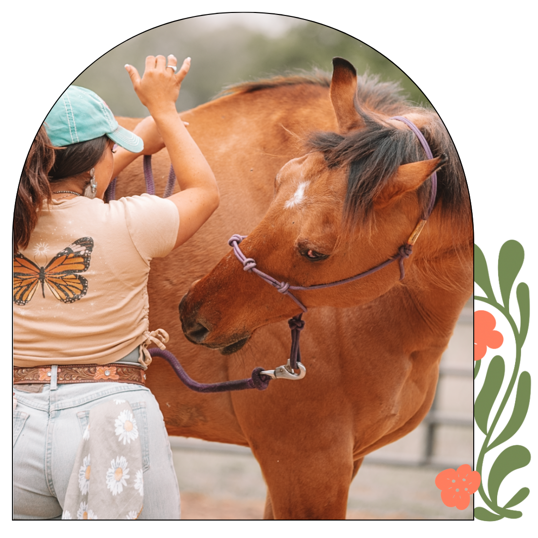 THC Equine Signature Membership