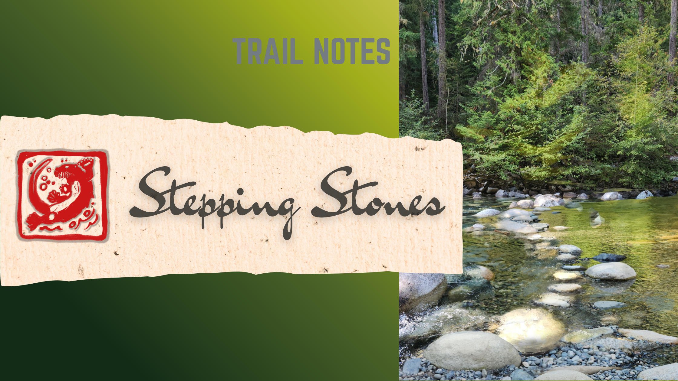 The Otter and the Stepping Stones