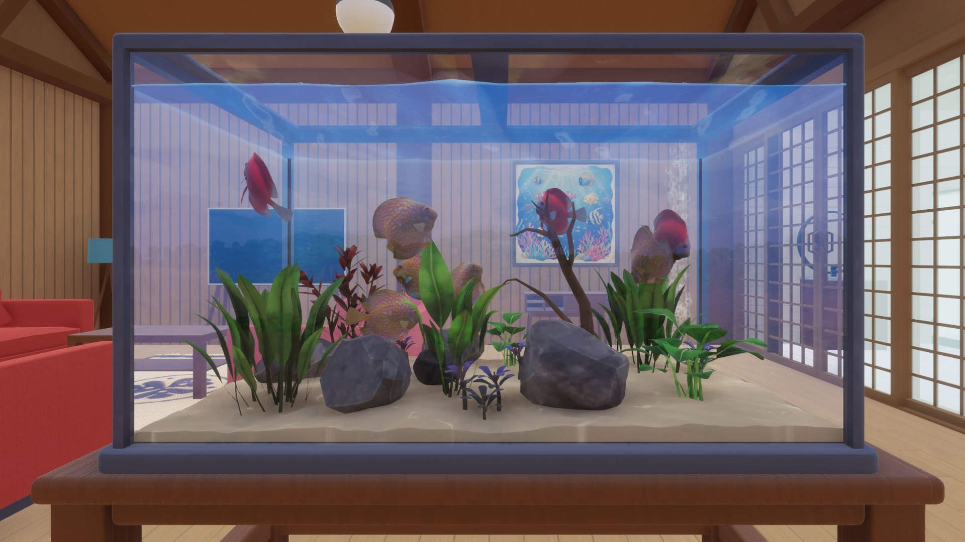 Fwd: Press release: Catch, breed, and admire! The Aquarium is available to try for free on PC 🐠