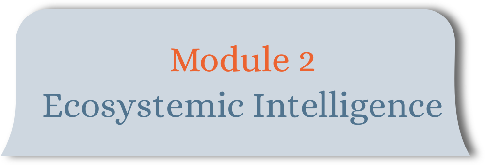 Module 2: Ecosystemic Intelligence