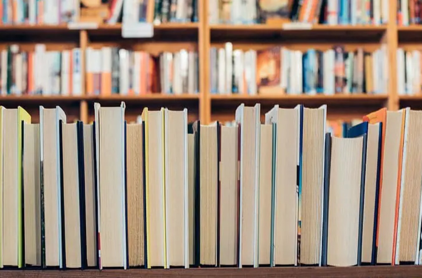 Texas Senators Consider Measure Protecting Children From Sexual Content in Public Libraries