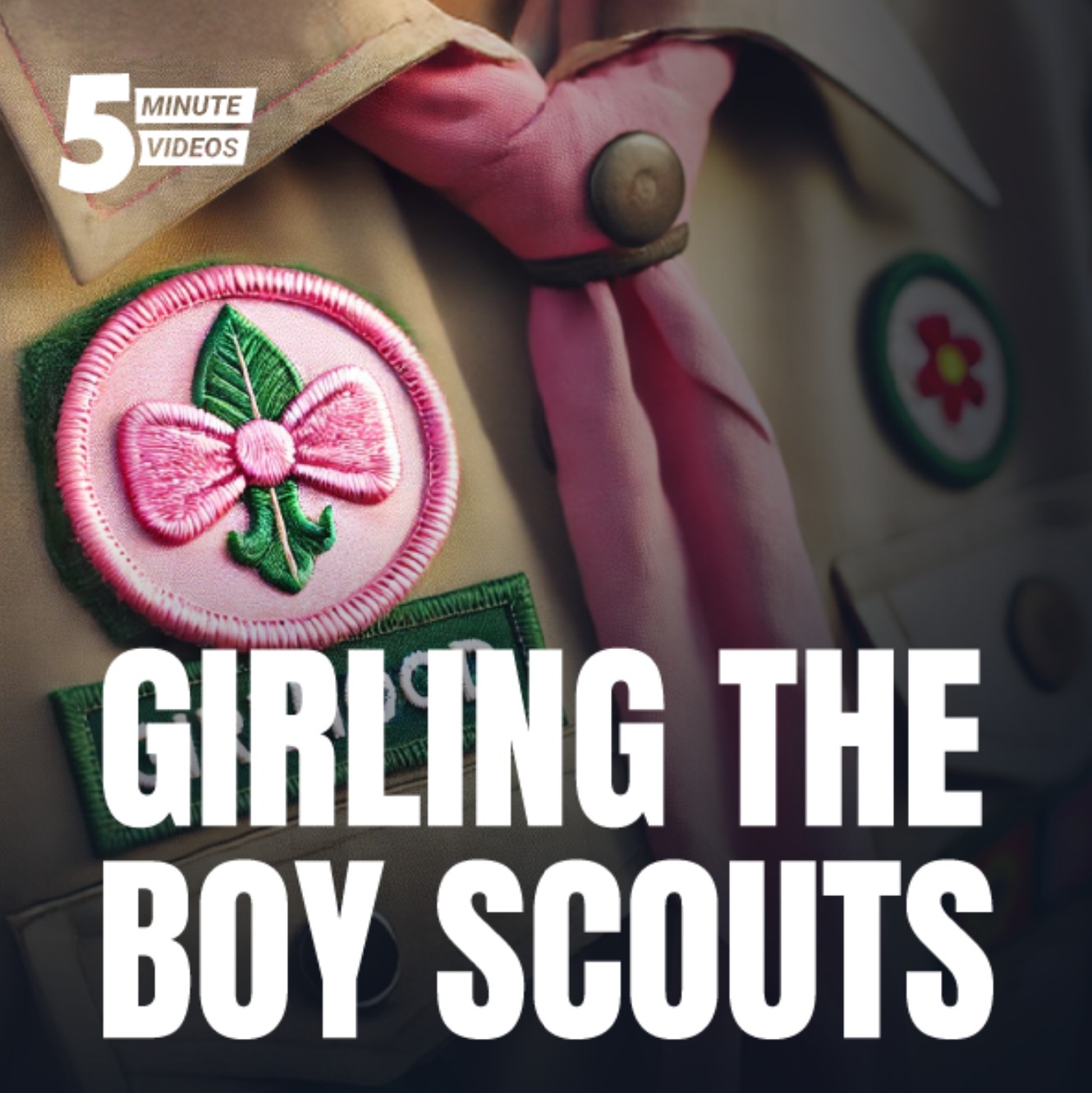 What Happened to the Boy Scouts?