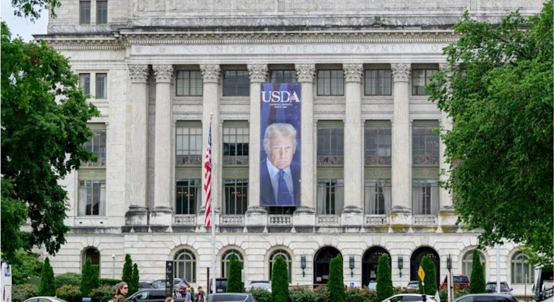 USDA charges 6 in $66M food stamps scheme — calling it ‘one of the largest’ such fraud cases in US history