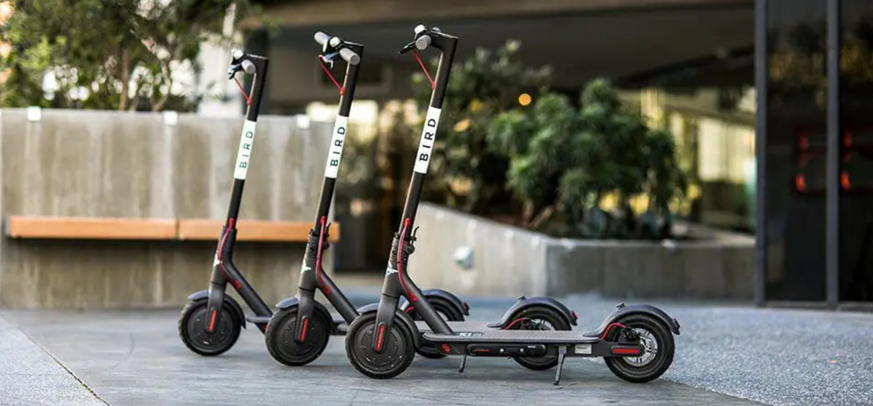 Houston Officials Consider Electric Scooter Crackdown