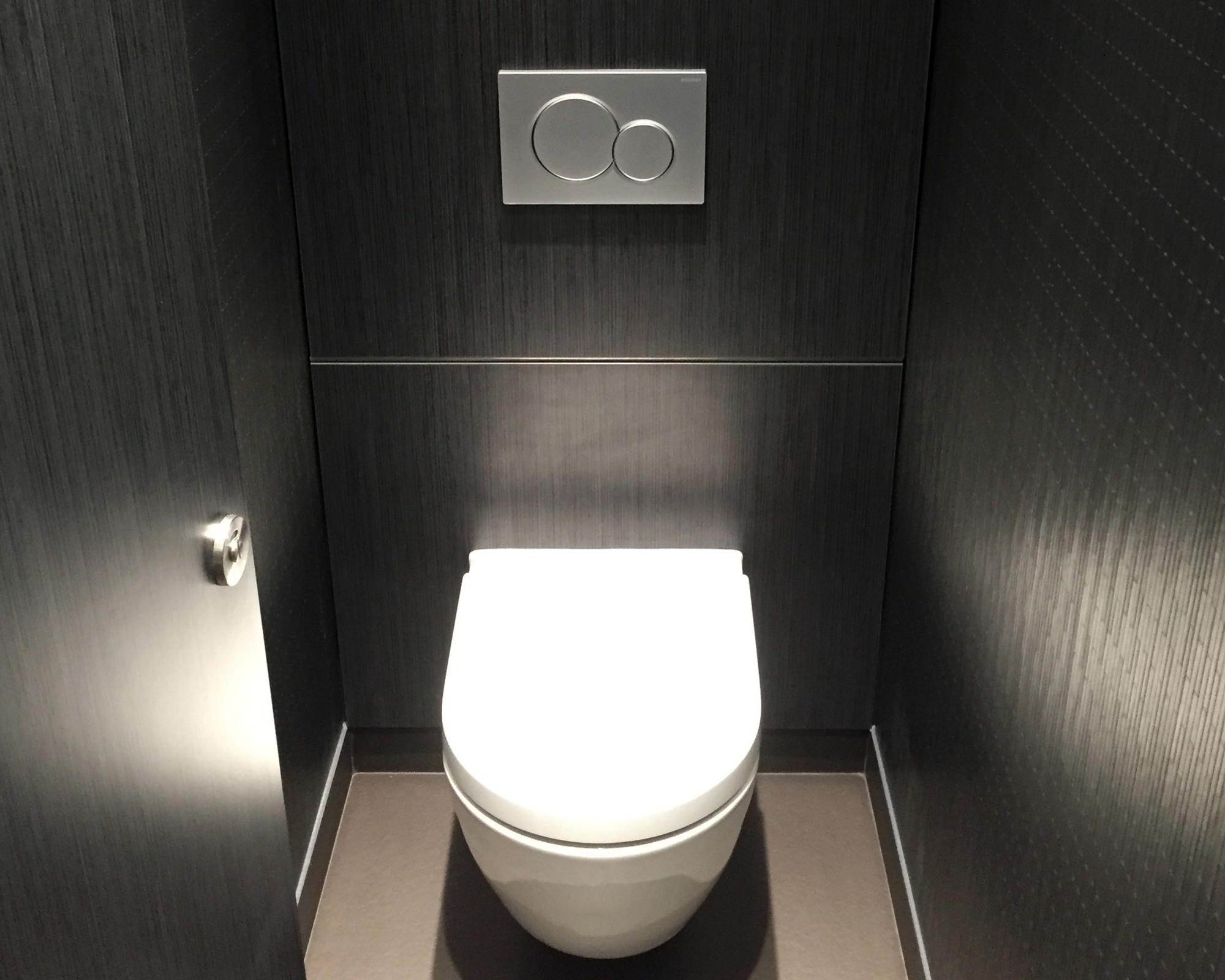 Concealed Wall Hung WC with dual flush button in a black ash duct panelling to walls of cubicle