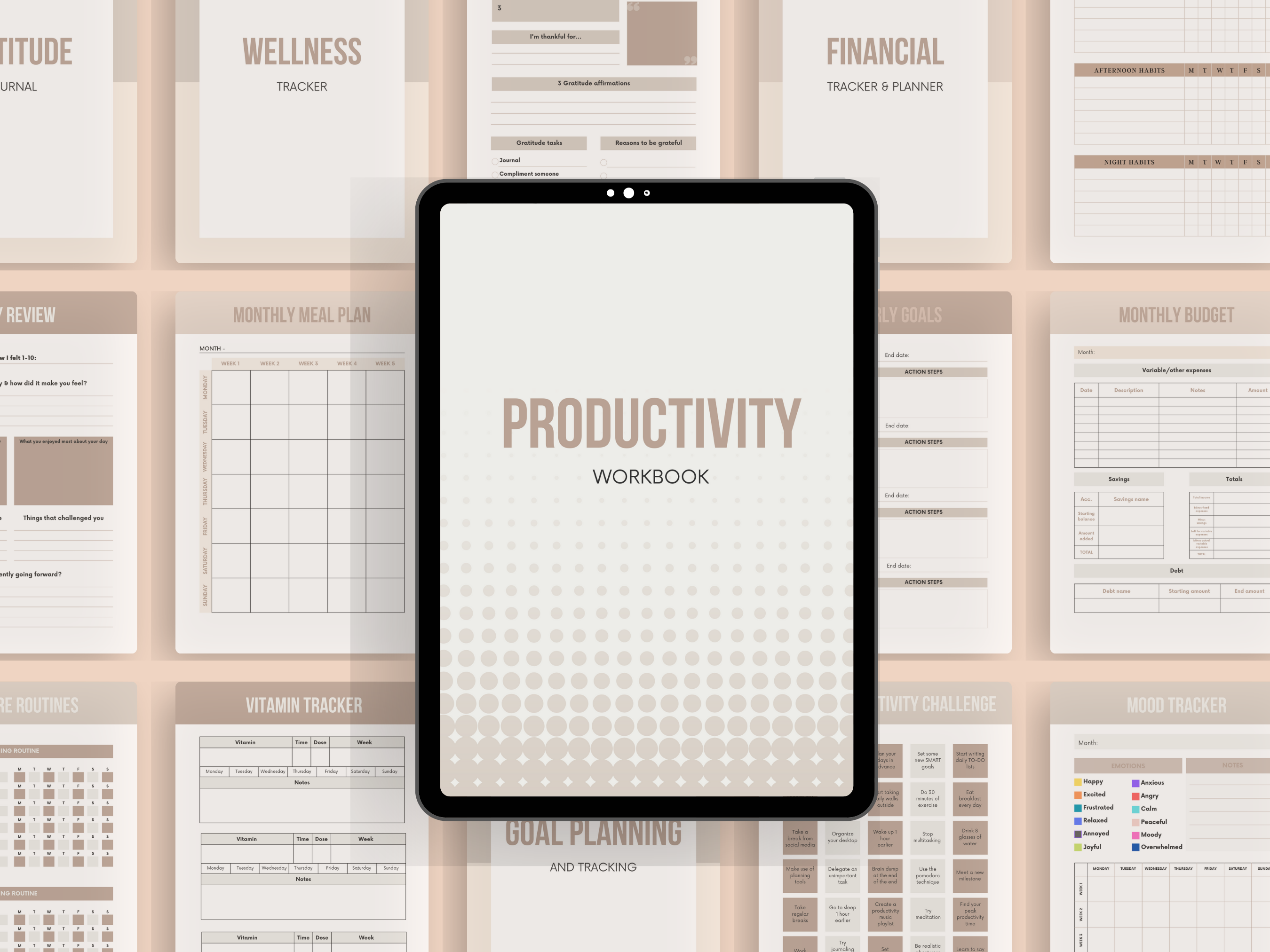 Productivity Workbooks