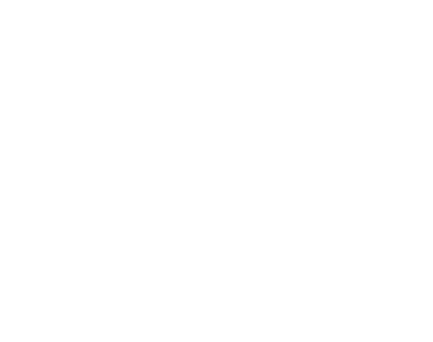 Handshake Icon