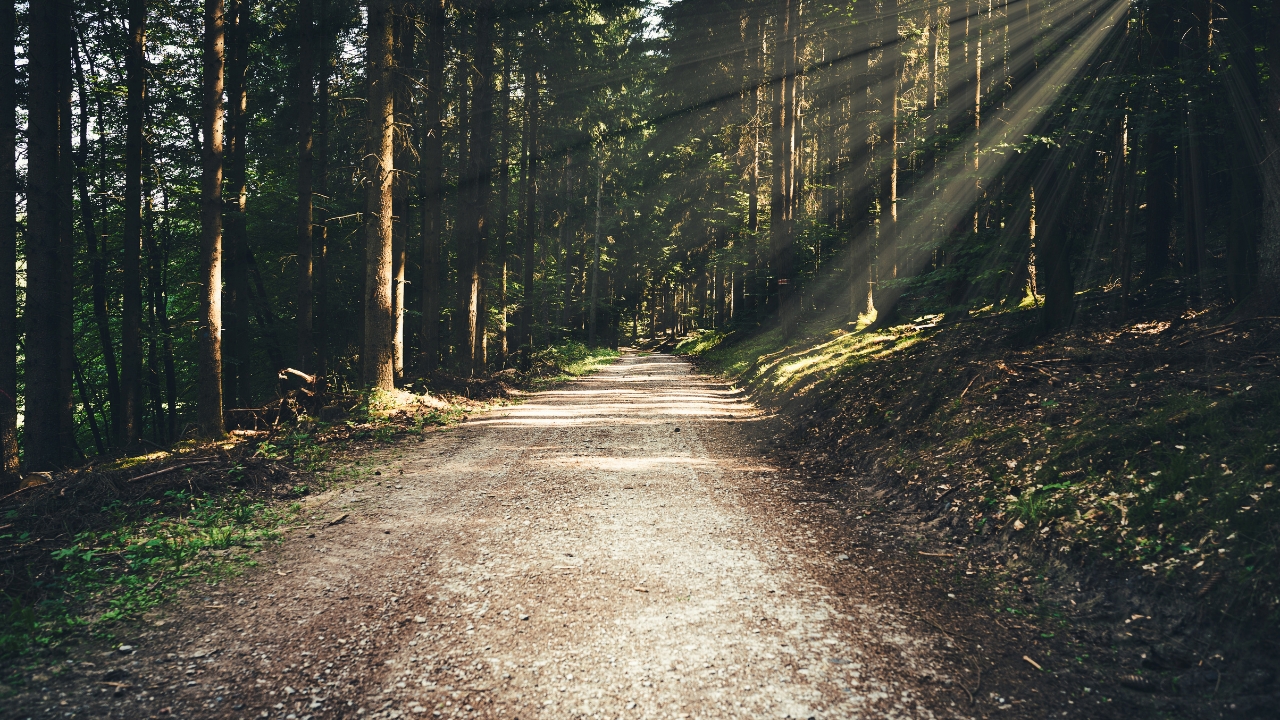 Happy Earth Day! How Does Connecting With Nature Impact Your Work-Life Balance?
