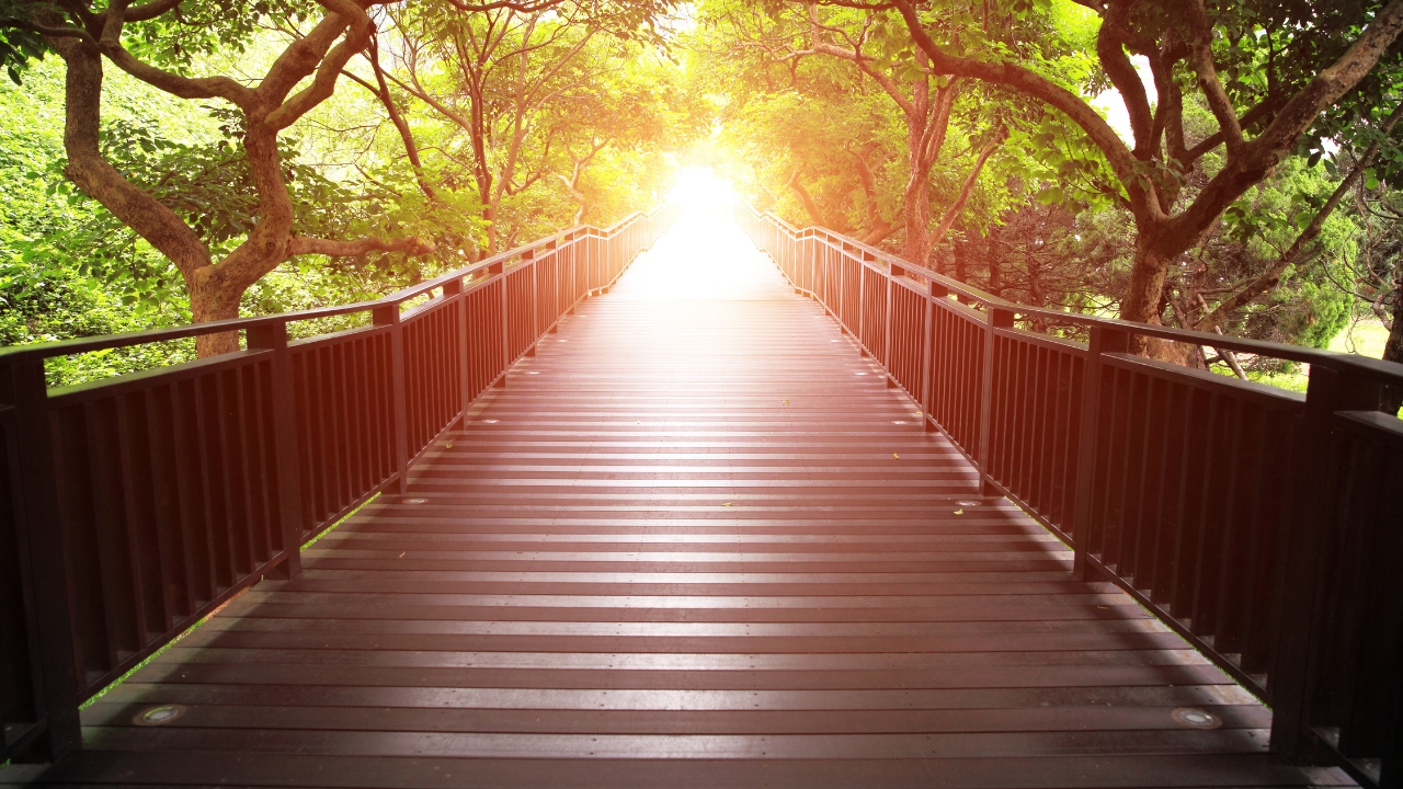 Lost the Map? How to Find Your Direction with Mentally Awake