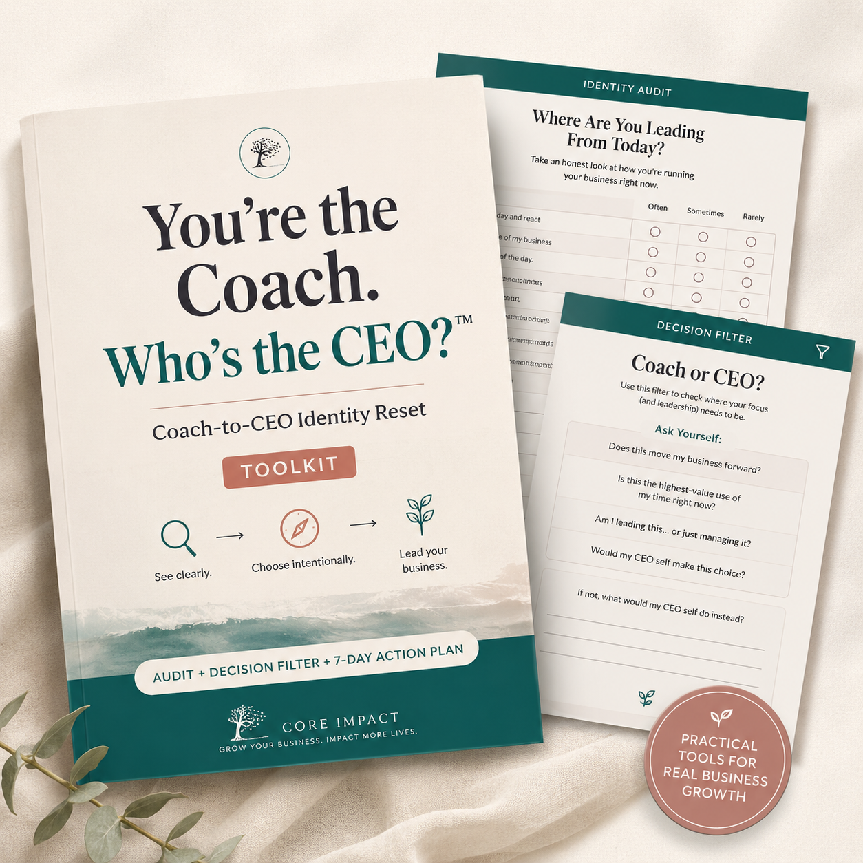 You’re the Coach. Who’s the CEO?