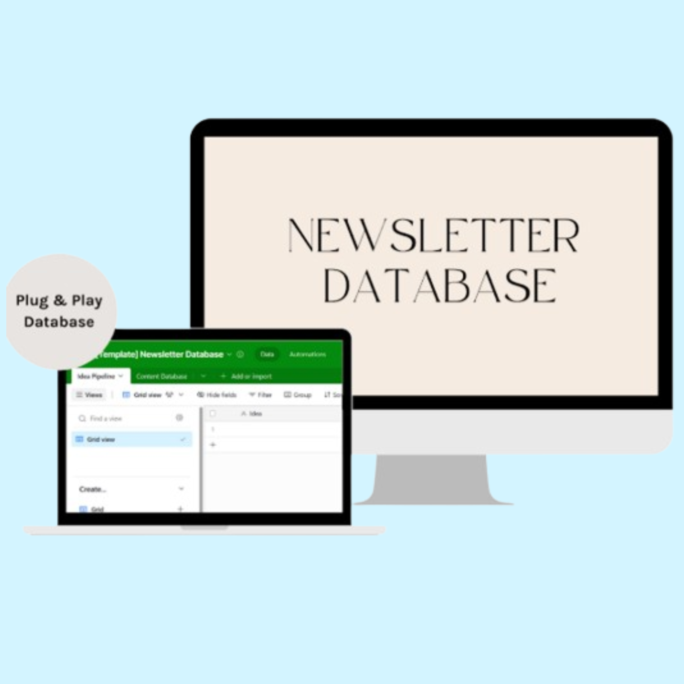 Newsletter Database