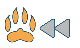Logo for Paws & Rewind featuring orange pawprint and double-arrow rewind icon
