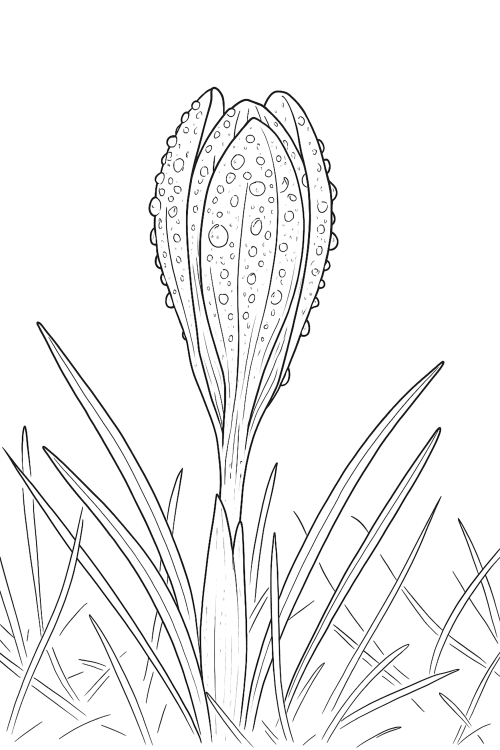 Spring Awakening Coloring Book Page